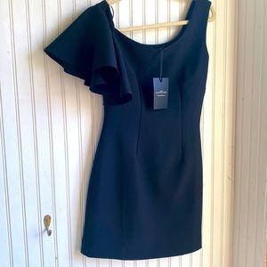 NWT Stunning SALONI mini dress!